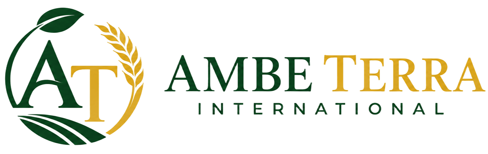 Ambe Terra International