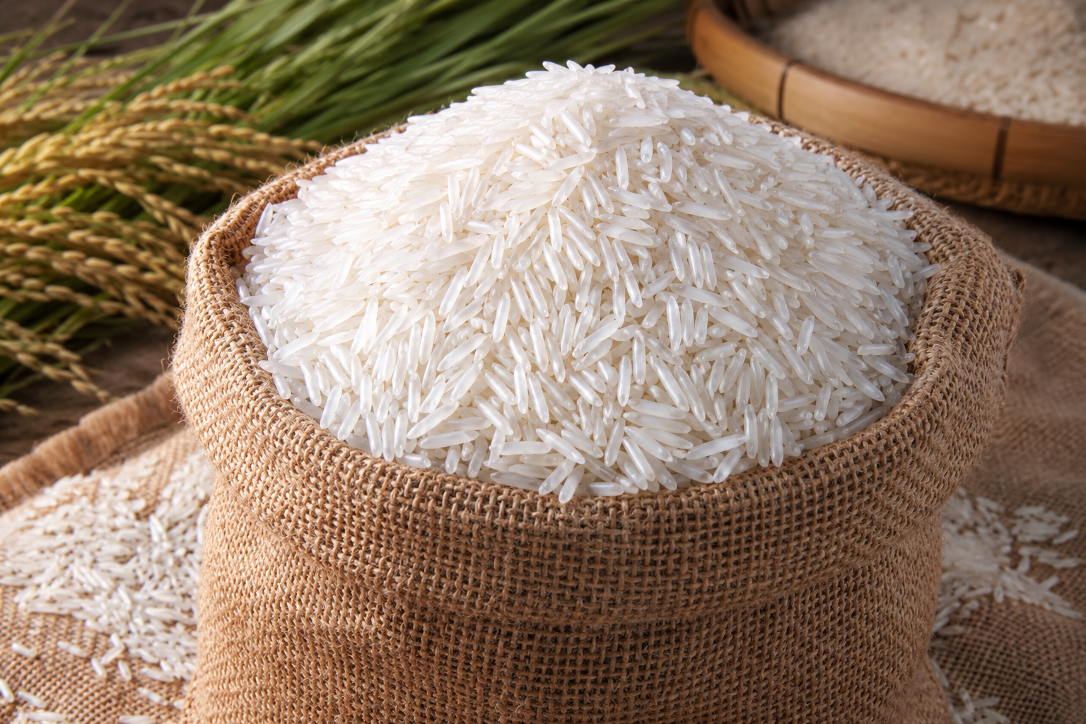 A Masterclass in Indian Basmati Rice: Grades, Quality, and Global Demand