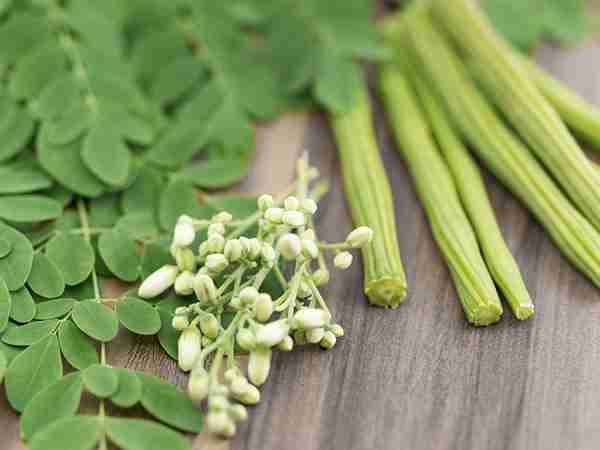 The Health Benefits of Indian Herbal Powders